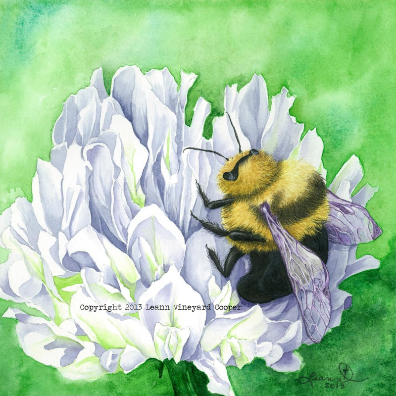 watercolor painting bees knees clover